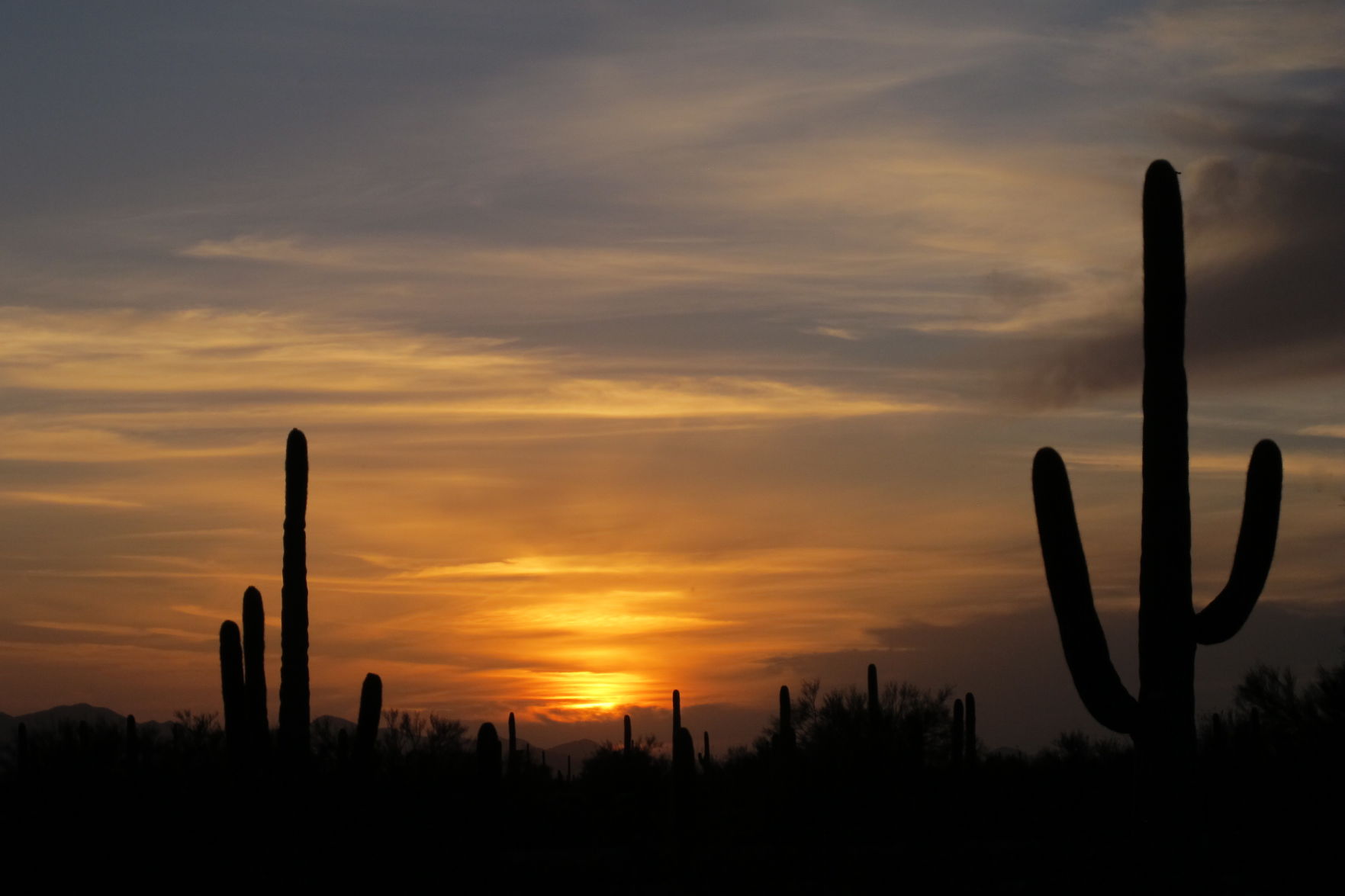 Tucson sunset